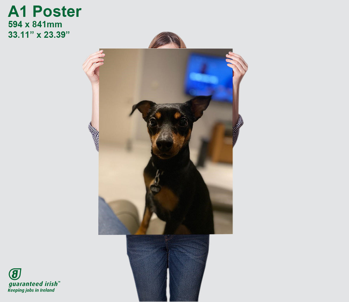 Poster A1